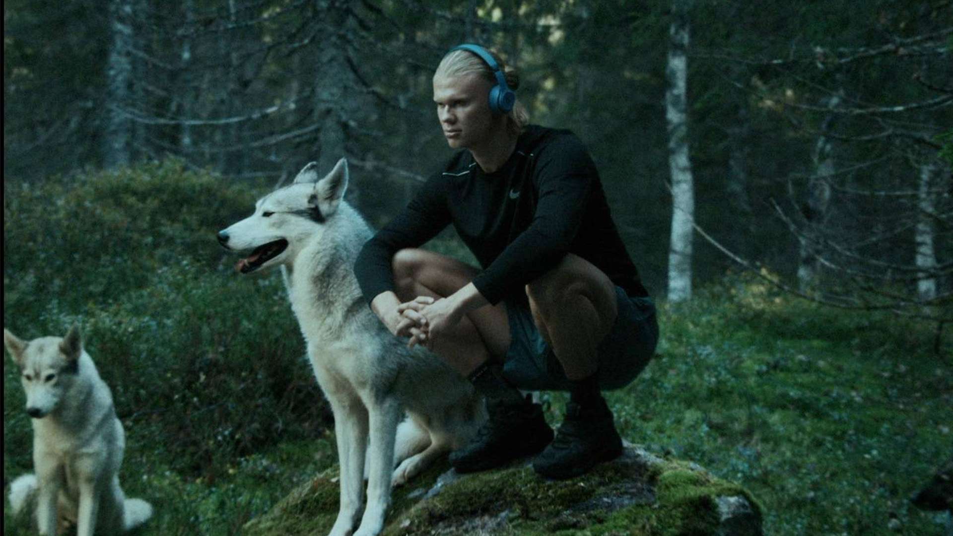 断提供了保 断提供了保